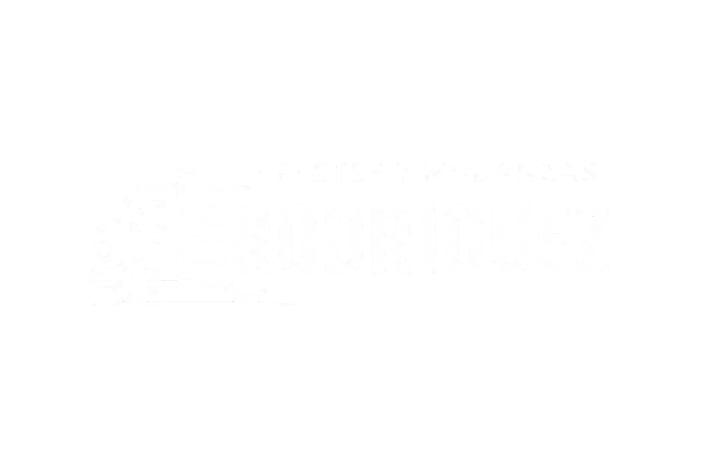 Logo Footer